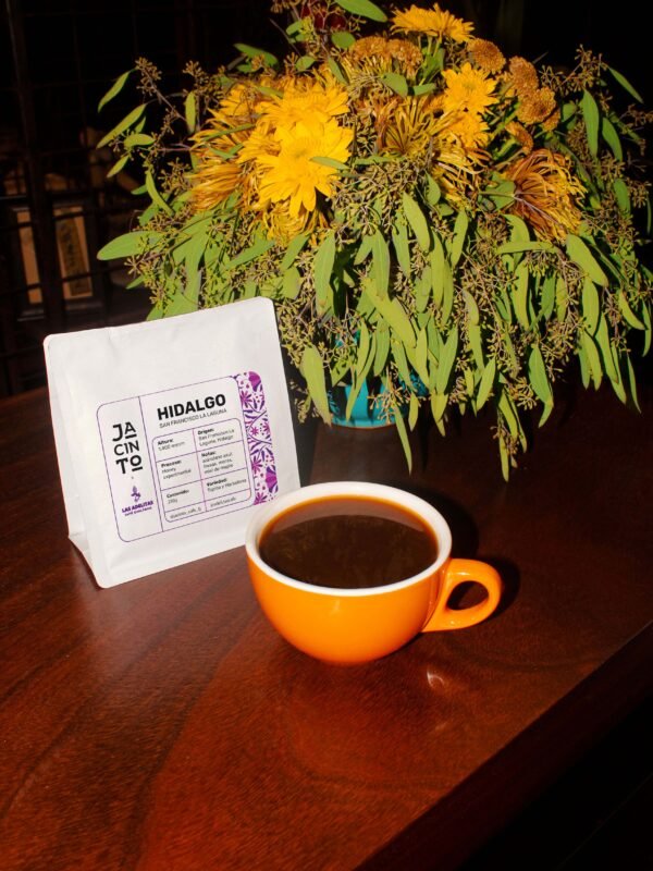 orignes4 Hidalgo - San Francisco La Laguna