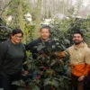 finca purp2 Café Hidalgo - Finca Púrpura