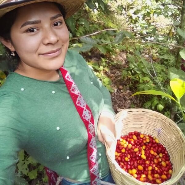 angy lopez.JPG Angy López Chiapas Tenejapa