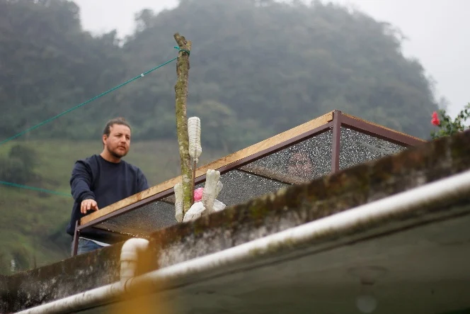 Productor junto a una cama de secado de café en la sierra Otomí-Tepehua, entre la neblina